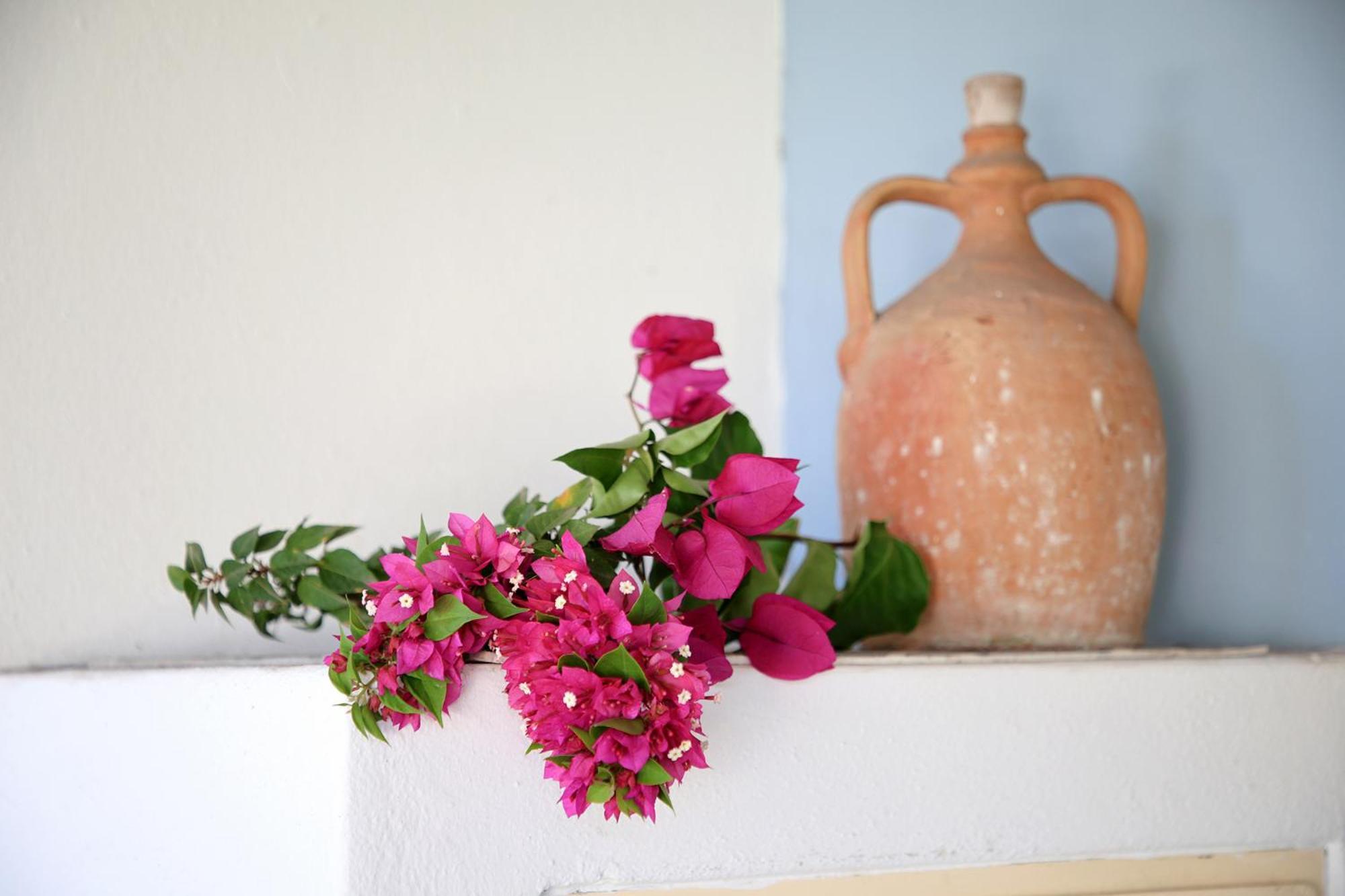 Villa Agrumeto ลีปารี ภายนอก รูปภาพ