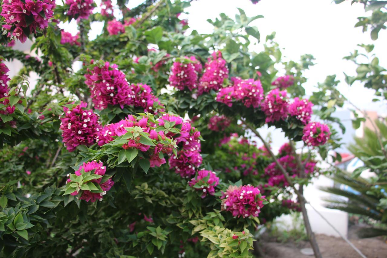 Villa Agrumeto ลีปารี ภายนอก รูปภาพ